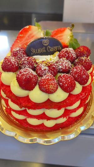 IMG_20240217_113158 IMG_20240217_113158